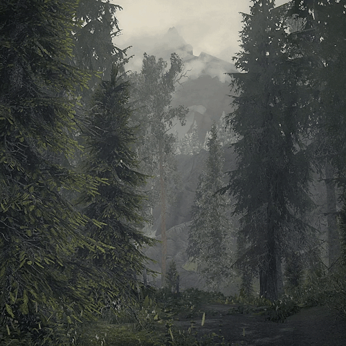 Skyrim Scenery 21/