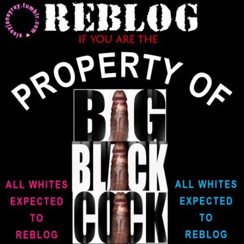 destroywhiteboys:  In the future, ALL whites will be property of nigger cocks. The inferior white ra