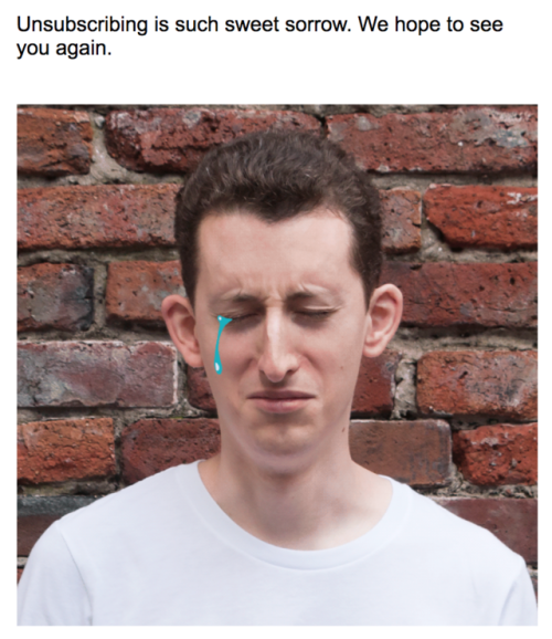 confirmshaming: The real deal (from Redbubble) is a GIF.  I wasn’t actually too annoyed b