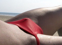 bulges-in-speedos:  Red bulge on beach 