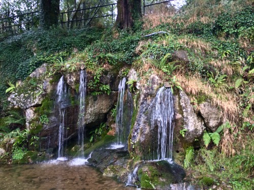 blarney castle gardens are stunning. Will have a blog post about my trip to cork this past weekend u