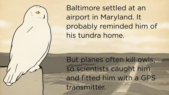 skunkbear:  Thanks to cutting edge tracking technology, Baltimore is probably the