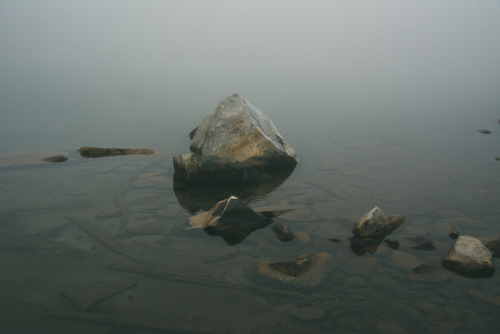 Reflections in the Fog