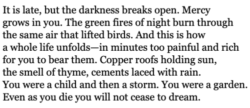 Joanna Klink, From “Night Sky”, The Nightfields
