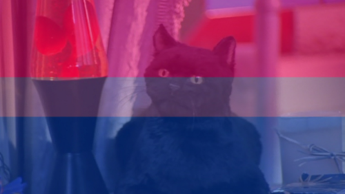 todaysbicharacteris:  Todays bi character is:Salem (Sabrina the Teenage Witch)character submitted by: (anonymous)