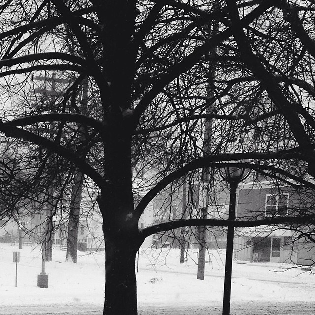 More #snow in #annarbor #michigan #snø #lumi #talvi #雪 #눈 (ved Administrative Services Building)