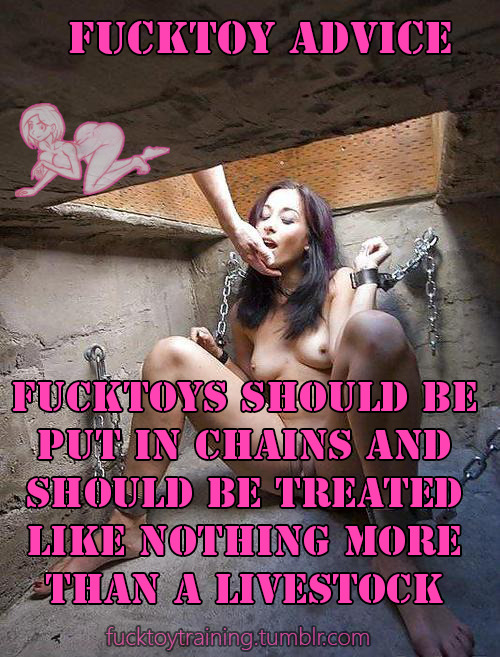 fucktoytraining: Advice: Fucktoys should be put in chains and should be treated like nothing mo