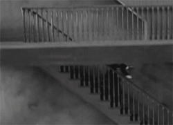 obligeme:  The Cameraman, 1928, was the last film Buster had any control over.  This