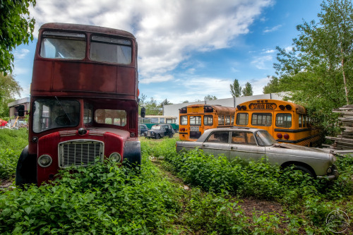 ANTIQUES ROADSHOWIn the backyard of a garage I came across this collection of discarded cars and bus