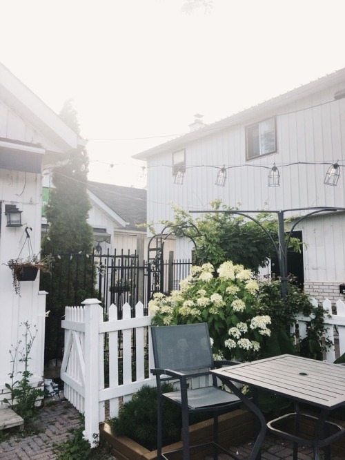 hwangmyeons: Hello August ☺️ IG: hwangmyeons
