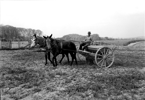 Mixing &amp; Spreading Fertilizer on Russell Farm, Farragut, Tennessee, 4/22/1937. File Uni