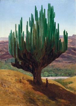 cuerpodepaz:  El Cardon - José María Velasco (1877)The Candelabra - the largest cactus in the world! Found here in the Valley of Tehuacán-Cuicatlán. 