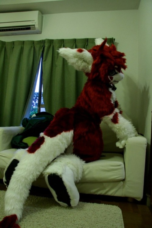i know i’ve posted these guys before but i love em not a fan of fursuits in general but kemono fursuits are so cool