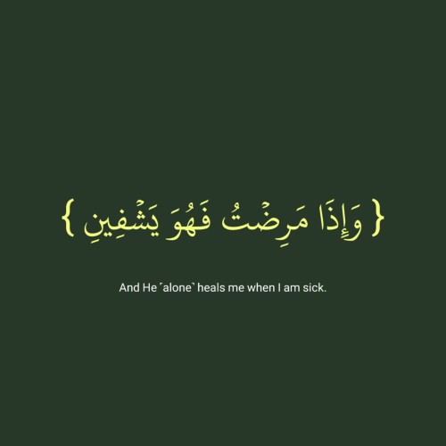 aylool9