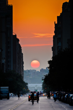 Twice a year, people in Manhattan get a chance to drive down the street and see this.