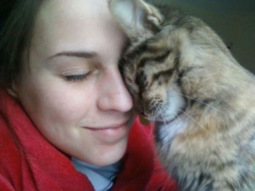 semolavanpeltpan:catsbeaversandducks:10 Signs Your Kitty Actually Loves YouEver wondered if your kit