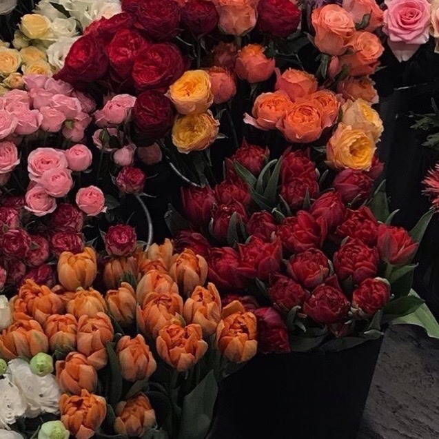 jeonwonwoo: warm summer flowers mb