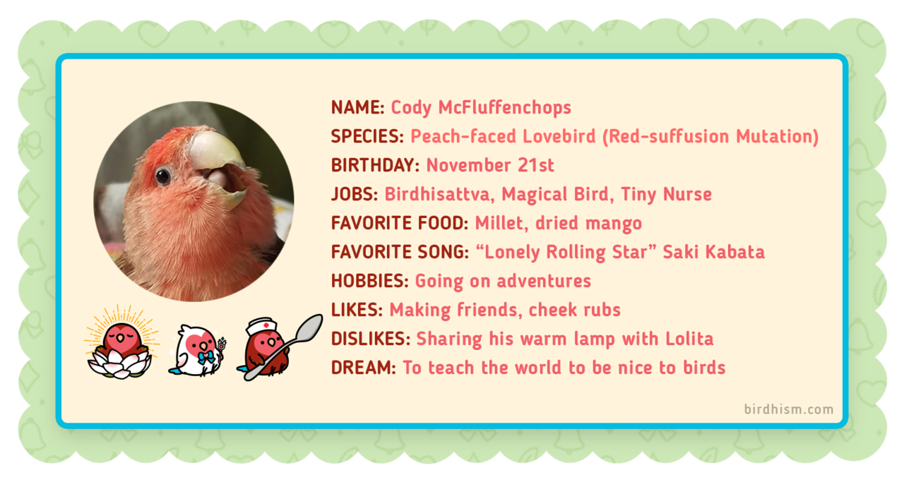 Birdhism — Get to know more about my sweet boi, Cody. You can...
