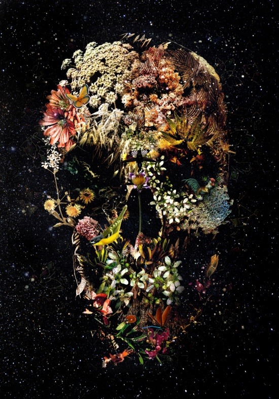 bestof-society6:    Smyrna Skull by Ali GULEC  