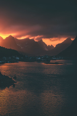 dennybitte:  Reine LightsLofoten / Norwayby