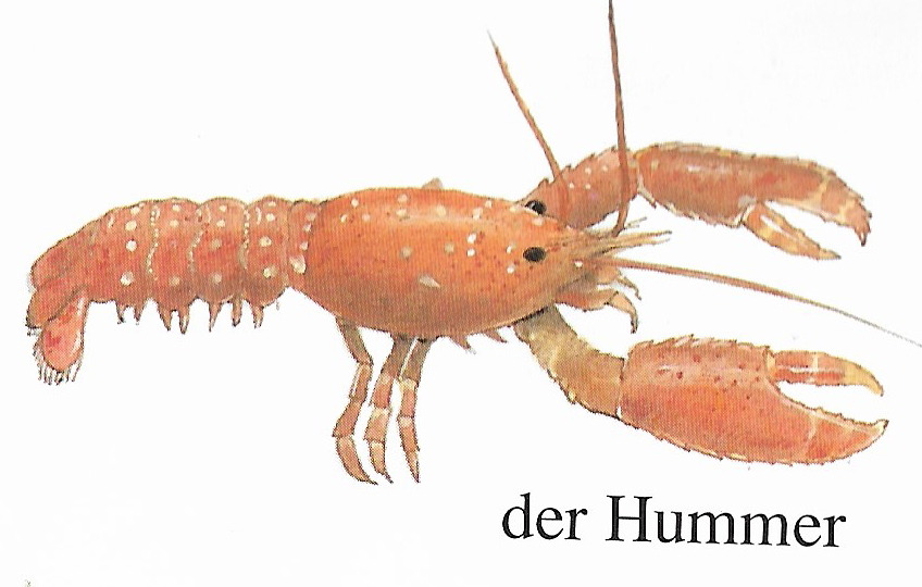 Sie Wäscheklammern Ihre Lippen, Und Legen Sie Einen Riesigen Dildo Drinnen Sie Wäscheklammern Ihre Lippen, Und Legen Sie Einen Riesigen Dildo Drinnen