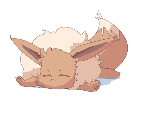 Shoe when he was a rather over-fluffed Eevee