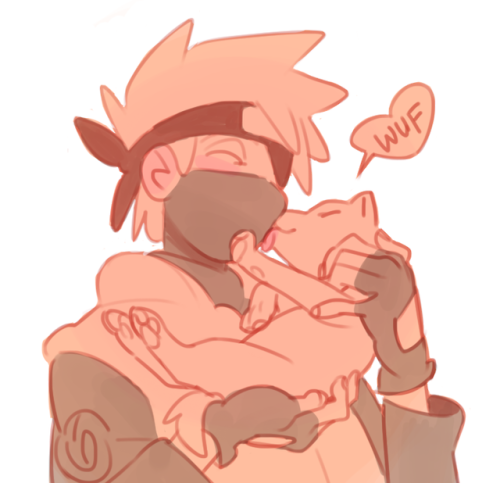 collarpoints: puppy