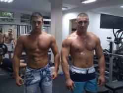 serbialux:  Serbian muscle guys