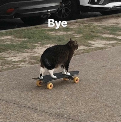 iqw7-deactivated20210911: