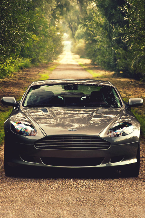 italian-luxury:  The Brit Has Arrived. Aston Martin DB9 by Thomas van Rooij via(500px) 