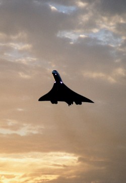 aviation-dreams:  Concorde
