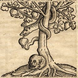 oursoulsaredamned:  “The tree of knowledge”Woodcut