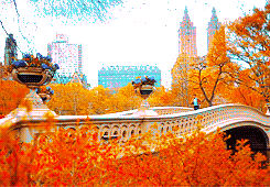 For the thrill of the fall