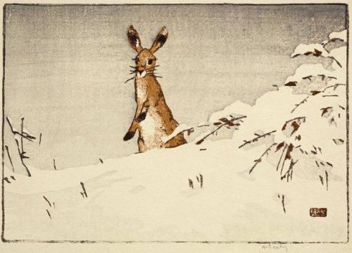 myfairynuffstuff:Allen William Seaby (1867 - 1953) - Snow and Hare c.1923. Colour woodcut on paper. 