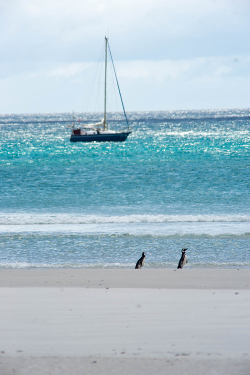 Two Buds Chilling On The Beach