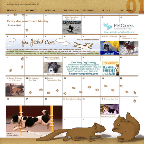 January at the Washington Square Park Dog Run! We created this calendar as a fundraiser, and photogr