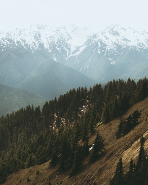 eartheld:  youseethenew:  More time well spent in Olympic NP, Washington Instagram: BToneVibes   x  Homeeeee ❤️ I mean granted ONP had over a million square miles and I think that’s just trails and spans several counties but I love having it