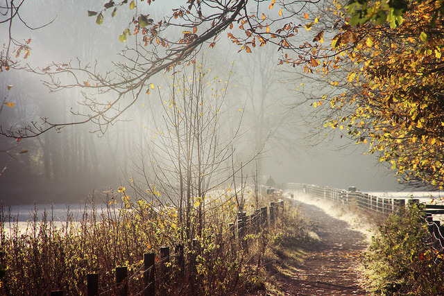greekg0ds:  aeron photography 