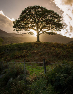 allthingseurope:  Little Langdale, UK (by