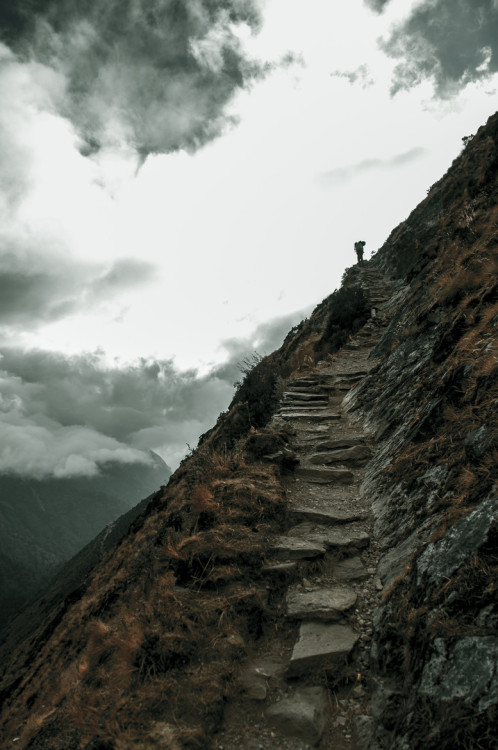 my-little-0cean:   Towards the clouds   Morten Krogh Starostka  