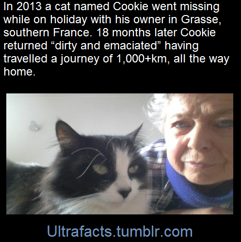 ultrafacts:    (Fact Source) For more facts, follow Ultrafacts   