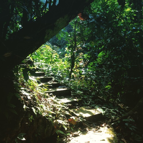 gypsysky:  tad thong stairs 2015