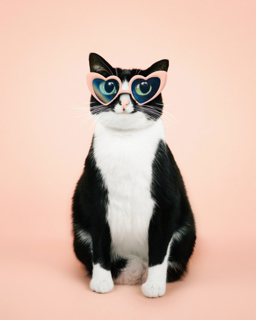 Do these purrscription glasses make my eyes look big?