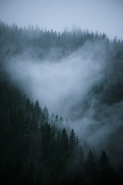 wonderous-world:  Silence by Artem Kiktenko