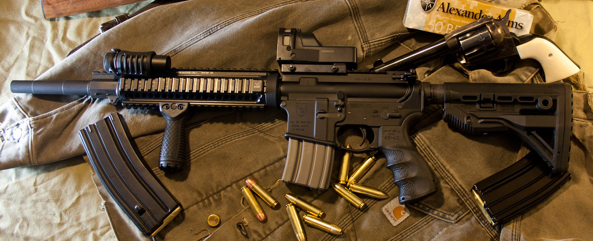 gmsurvival:  militiamedic:  victran:  dirty-gunz:  whiskeyandspentbrass:  AR  in