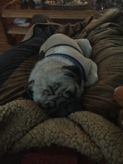 Pug cuddles , hot chocolate , a hot fire, and movies . Not what I&rsquo;d prefer Christmas to consist of but it has been an ok day