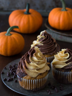 delicious-food-porn:Pumpkin Chocolate Cupcakesnom