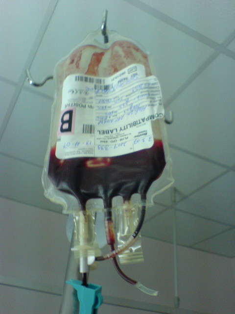 heartgled - K :·)
