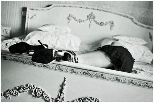 momentomagicoconme.tumblr.com/post/164968852741/