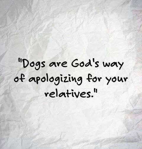 I’d choose either one of my dogs over many of my upright walking relatives!